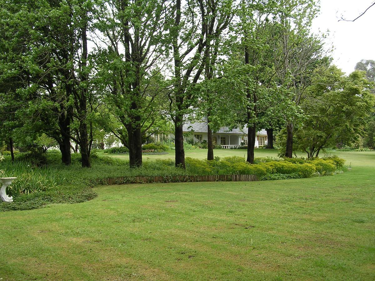 Bed and Breakfast Cedar Garden Underberg Exteriér fotografie